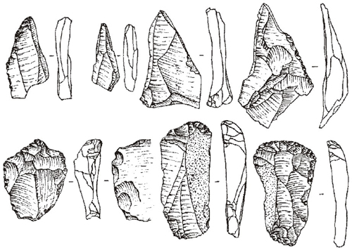 Image - Some of the Paleolithic tools found at the Amvrosiivka archeological site.